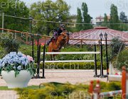 CHIMIRRI V GINGER CampITA2013- S5 1429 : CHIMIRRI VINCENZO, Campionati Italiani 2013, Cattolica, GINGER, Horse Riviera Resort, foto di Stefano Secchi ©